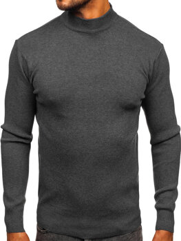 Homme Col roulé basique Graphite Bolf H2402