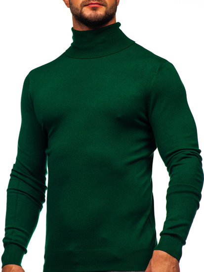 Homme Pull à col roulé basic Vert Bolf W1-1728