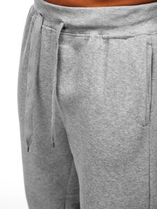 Homme Pantalon de jogging épais Gris Bolf MS002