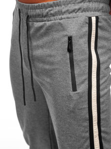 Homme Pantalon jogger Gris Bolf JX6156